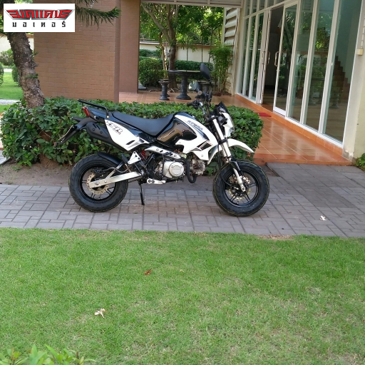 ZSR 125